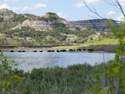 Theodore Roosevelt National Park