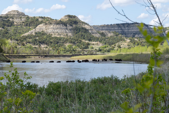 Theodore Roosevelt National Park
