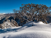 Black Canyon of the Gunnison