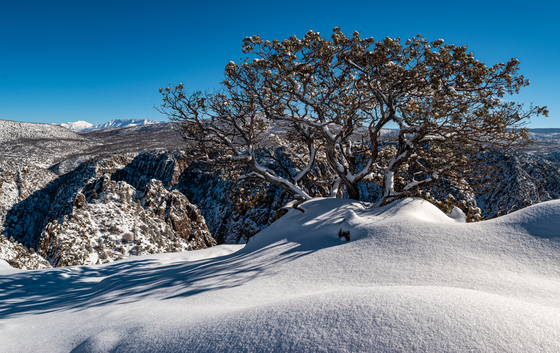 Black Canyon of the Gunnison