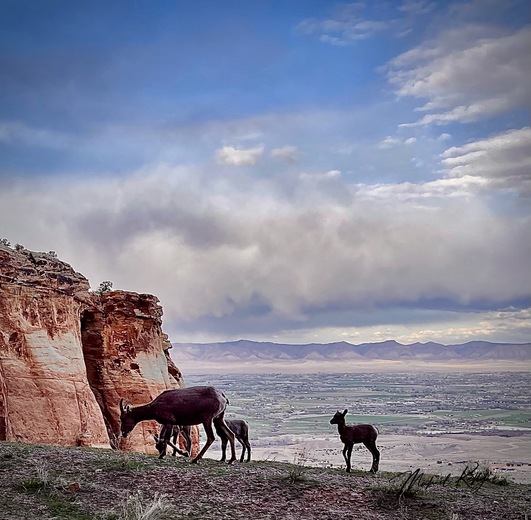 Colorado National Monument 