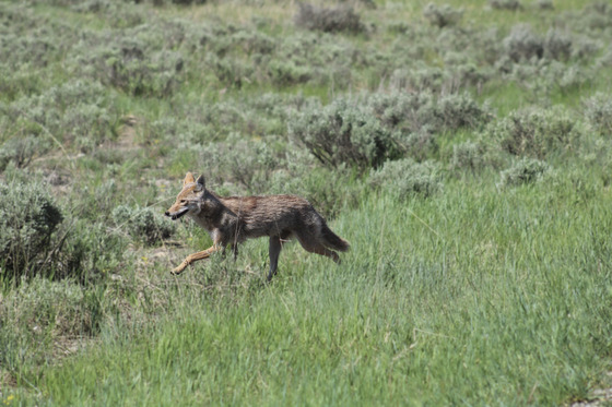 Grand Teton National Park