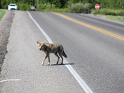 Grand Teton National Park