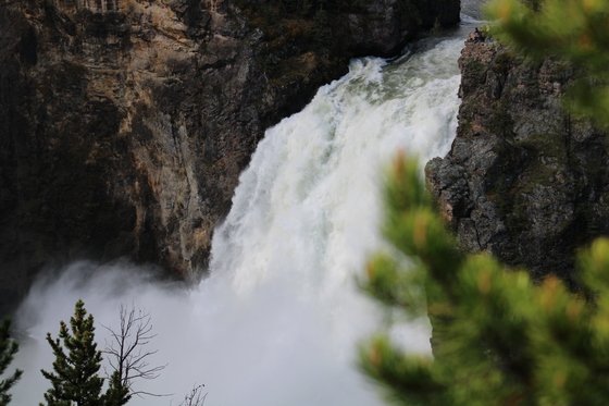 Yellowstone National Park
