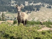 The Flat Tops, Colorado 