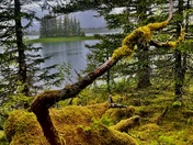 Kenai Fjords National Park 