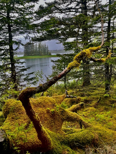 Kenai Fjords National Park 
