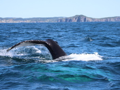 Caught in the moment