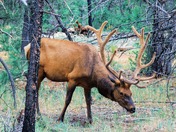 Grand Canyon National Park