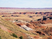 Petrified Forest National Park