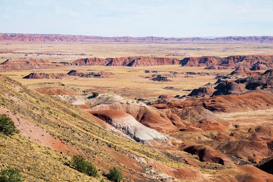 Petrified Forest National Park