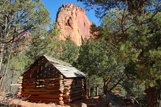 Zion National Park- Kolob Region