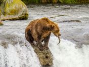 Katmai National Park