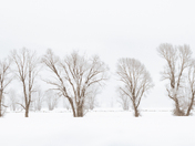 Grand Teton National Park