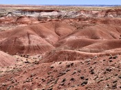 Petrified Forest National Park