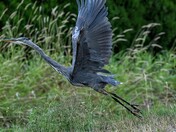 Lift off right out of the frame