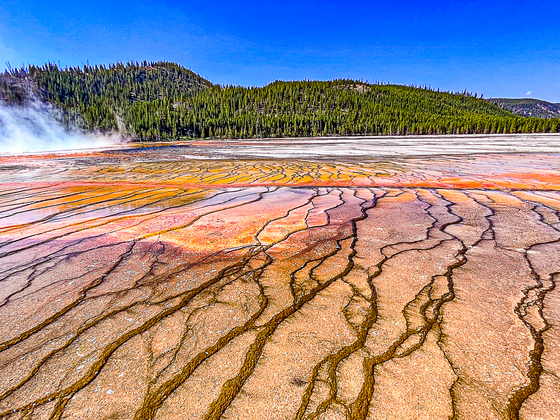 Yellowstone National Park