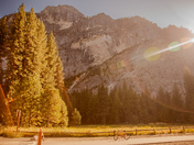 Yosemite National Park