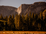  Yosemite National Park