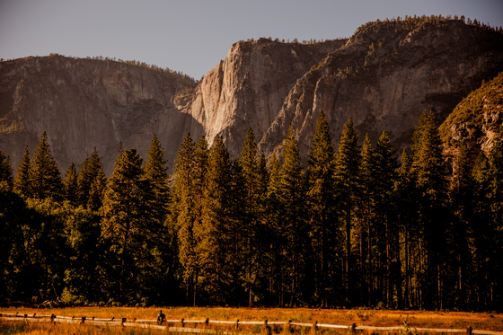  Yosemite National Park