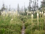 Glacier National Park