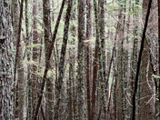 Glacier National Park