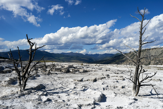 Yellowstone National Park