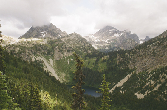 Okanogan-Wenatchee National Forest
