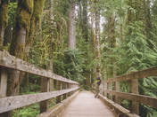 Olympic National Park