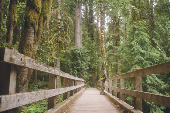Olympic National Park