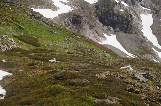 North Cascades National Park