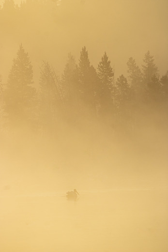 Yellowstone National Park 