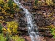 Uncompahgre National Forest