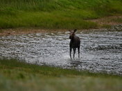 Rocky Mountain National Park