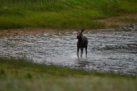 Rocky Mountain National Park
