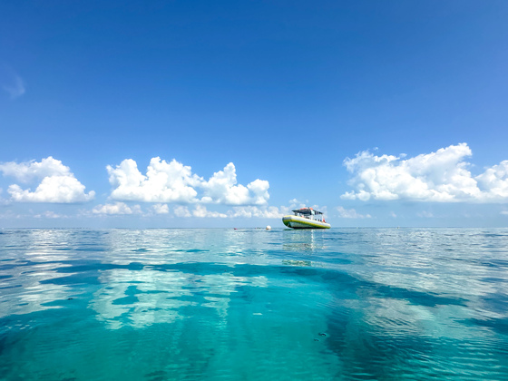 Biscayne National Park