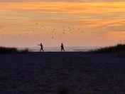 Redwoods National Park