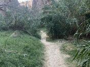 Big Bend National Park