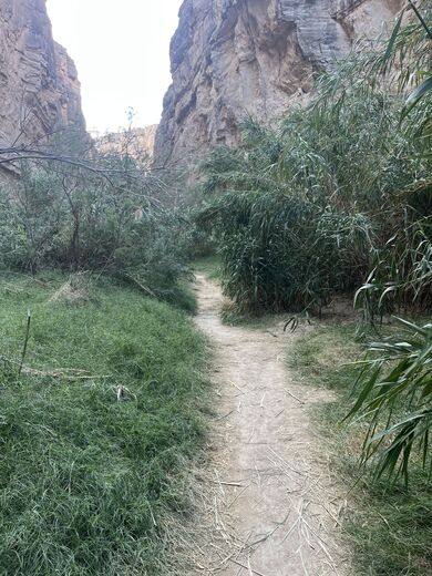 Big Bend National Park