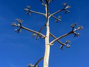Big Bend National Park