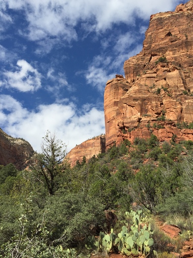 Zion National Park