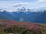 Mount Baker Snoqualmie National Forest