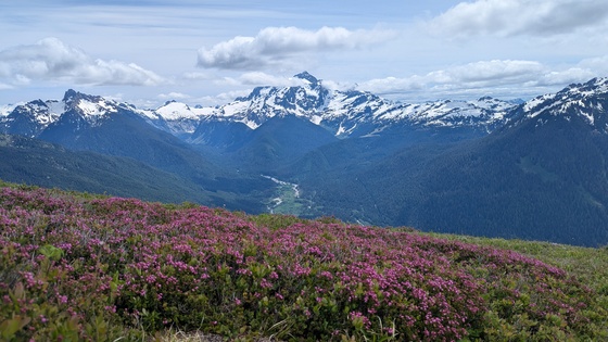 Mount Baker Snoqualmie National Forest