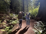 Redwood National Park