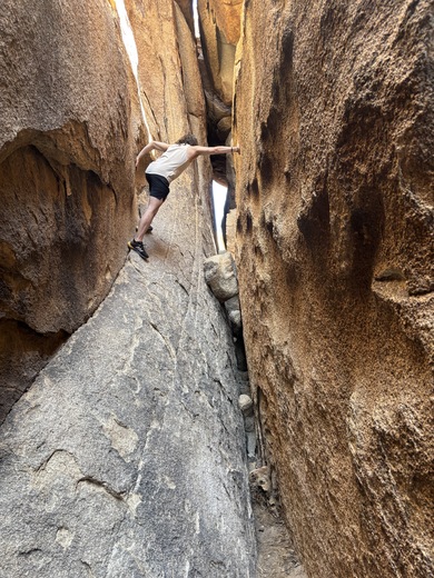 Joshua Tree National Park