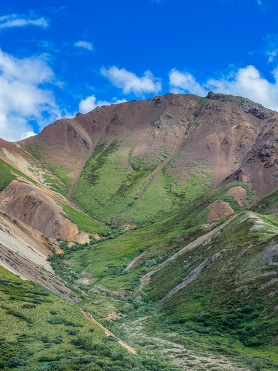 Denali National Park and Preserve