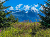 Denali National Park and Preserve
