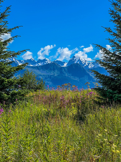 Denali National Park and Preserve