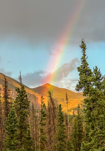 Denali National Park and Preserve