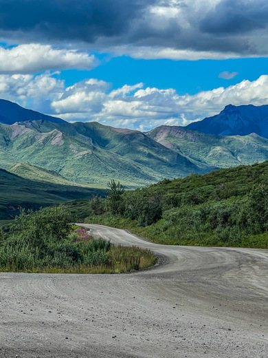 Denali National Park and Preserve